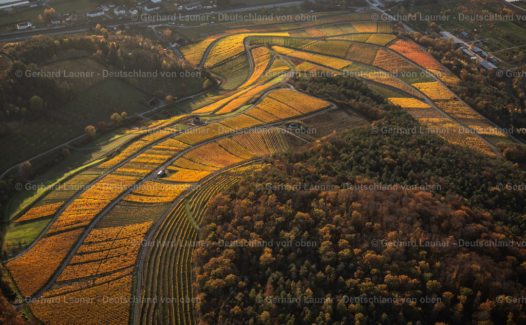 4042913 | Weinberg bei Thüngersheim, Weinlage Scharlachberg
