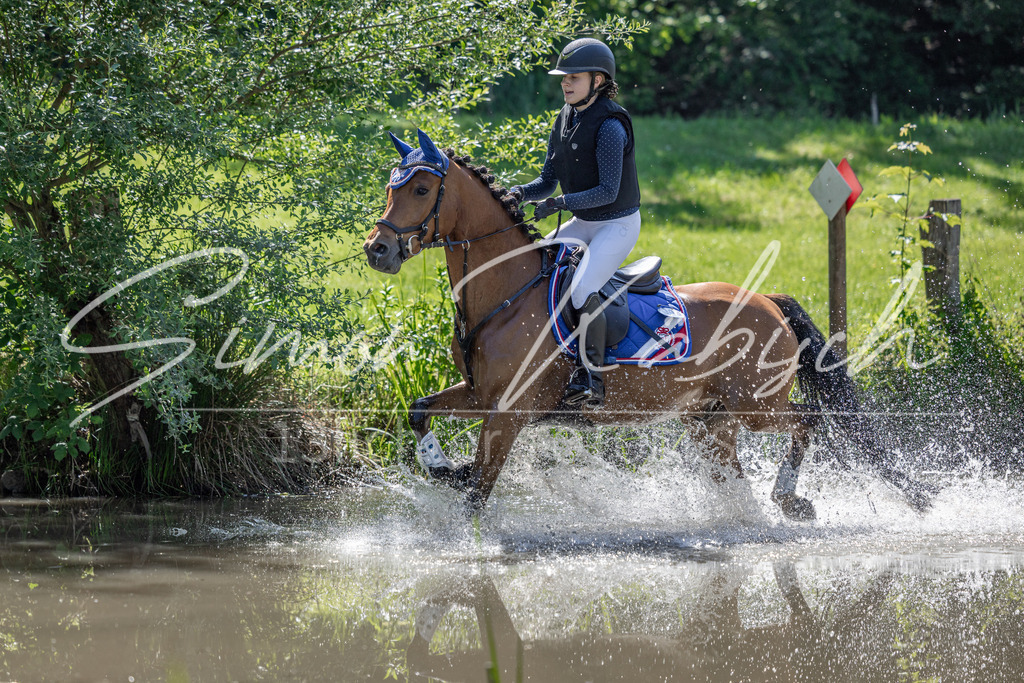 20260523-_3LI7121 | Tierfotografie Pferde, Hunde, Katzen, Haustiere.
Turnierfotografie Reitturniere, Reiten, Springreiten, Dressur in Hanau, dem Main-Kinzig-Kreis und dem Rhein-Main- Gebiet um Frankfurt