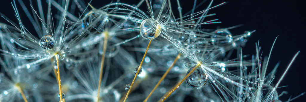 pustenass-23 | <div id="allefotografen-seal-verified-green"></div><script src="https://www.allefotografen.de/956728/seal-verified-green/seal.js" async="async"></script> - Realisiert mit Pictrs.com