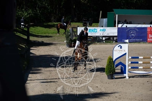 2B4A0406 | pixelfaenger - Realisiert mit Pictrs.com