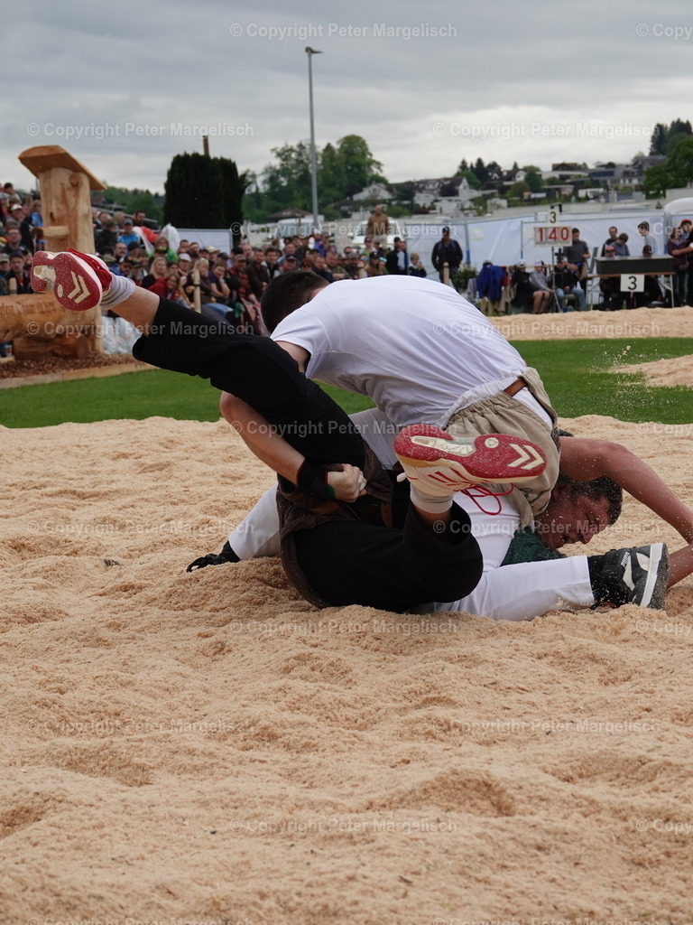 DSC06371 | Schwingen - Realisiert mit Pictrs.com