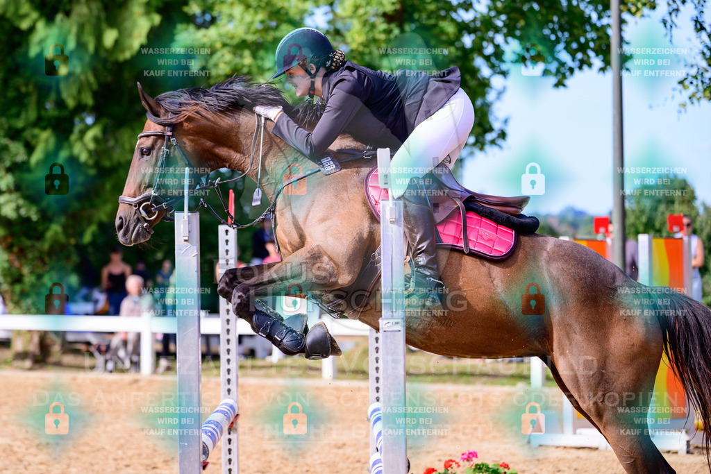 30082026-Giesenbach-Prfg16-0579 | Fokus Hufschlag Fotografie - Realisiert mit Pictrs.com