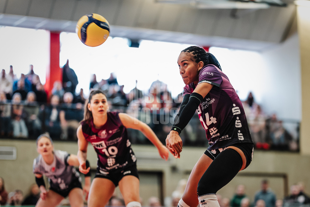 Volleyball | Frauen | Saison 2025/2026 | Volleyball Bundesliga | ETV Hamburger Volksbank Volleys vs. Schwarz-Weiß Erfurt | 15.02.2026 | Alianza Darley (#14, Schwarz-Weiß Erfurt) nimmt den Ball an