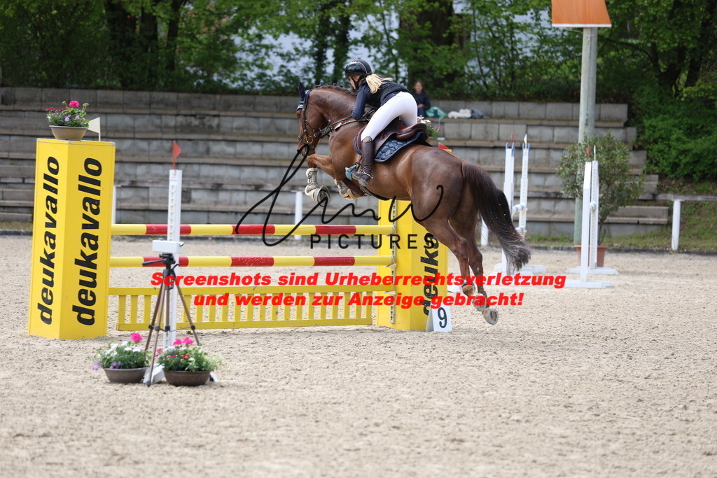 A40A2329 | lmwpictures - Realisiert mit Pictrs.com