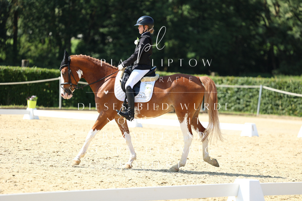 IMGM0283 | pl-fotografie