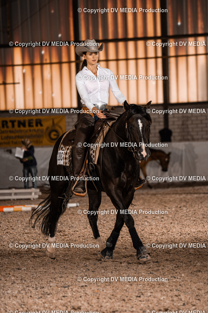 ZH300238 | dv-media-shop - Realisiert mit Pictrs.com