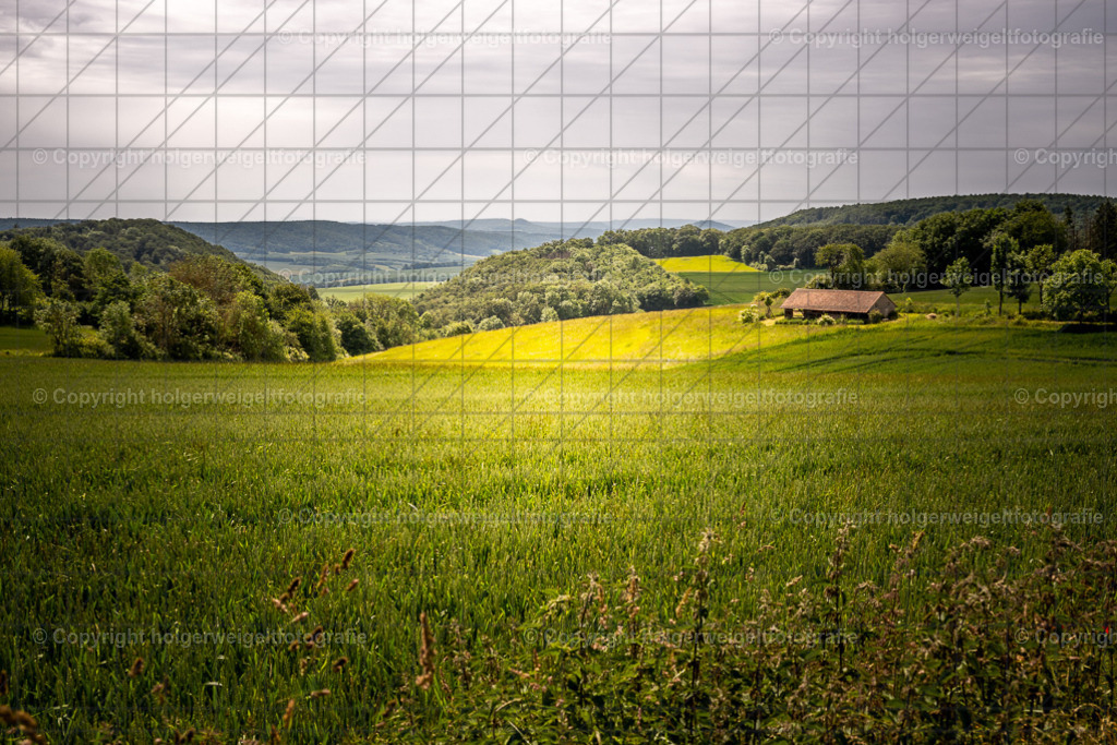 20260616105203Z63_4599 | Kaufen sie online außergewöhnliche Fotografien auf Leinwand Acrylglas Fotoprint Aludibond von holgerweigeltfotografie - Realisiert mit Pictrs.com