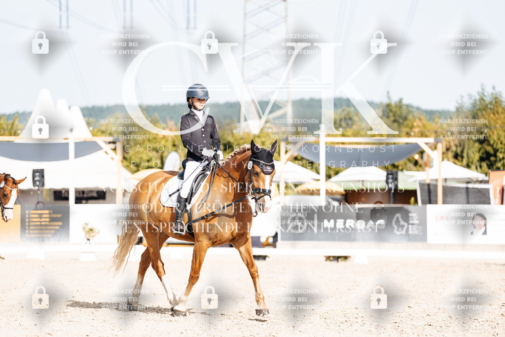 CK905341 | Turnierfotografie Pferdefotografie Trier Rheinland-Pfalz Pferdesport Reitsport Tierfotografie Sportfotografie Pferdevideo Pferdevideografie Equestrianvideography equestrianphotography  - Realisiert mit Pictrs.com