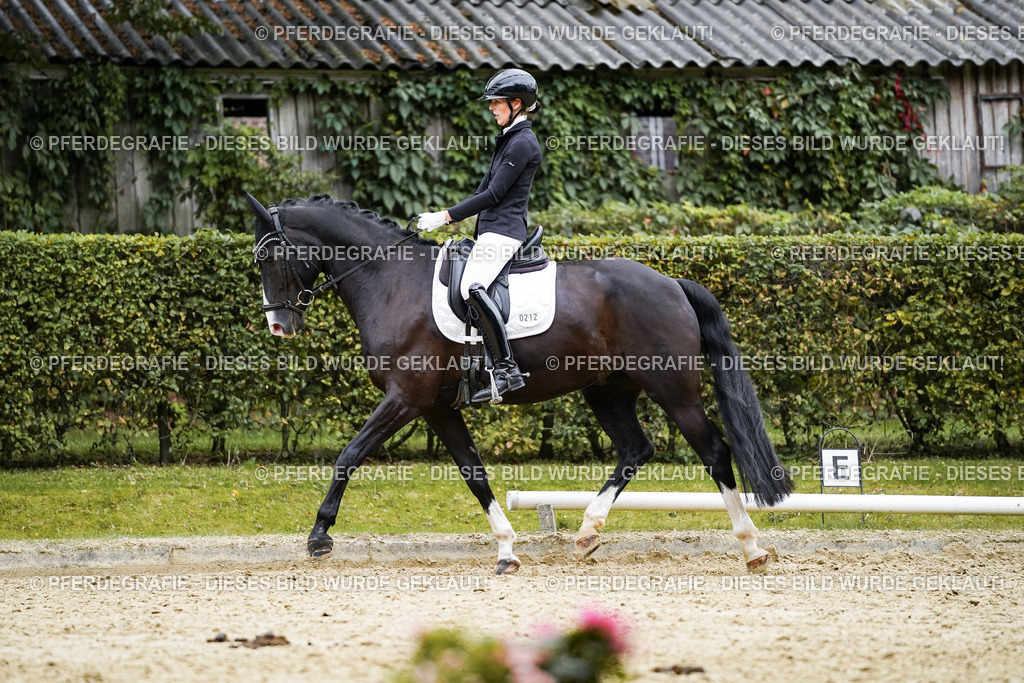 DSC09607 | Pferdegrafie