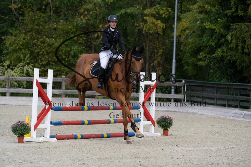 A7V07303 | Pferdefotograf