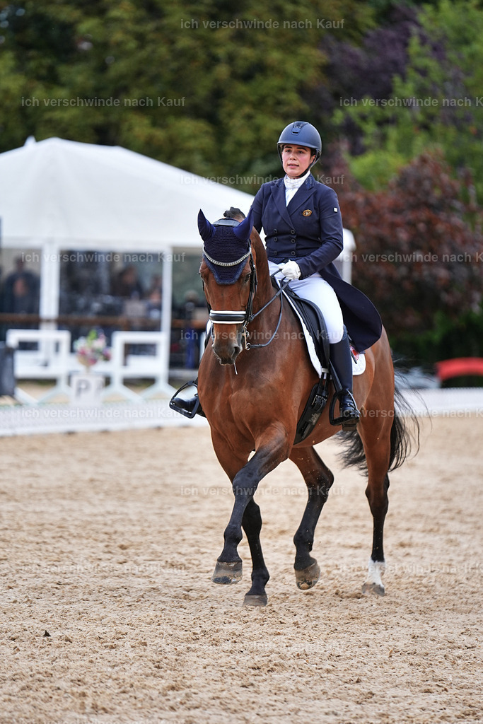 8_2-169-DRESSUR S_  -Marixx-4606 | working equitationturnier fotograf videograf stoibphotography marixx film working equitation deutschland reitsport turnierfotografie eventfotografie equestrian events