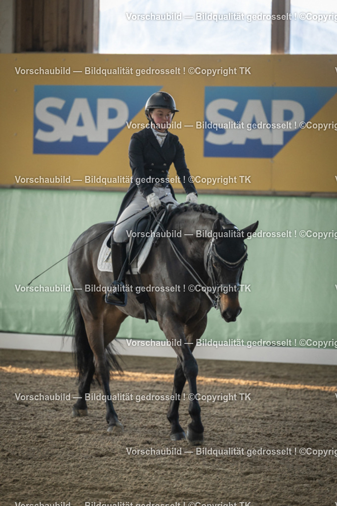 _D5A7715 | Emotionale Pferde- & People-Fotografie rund um Heidelberg, Leimen & Umgebung. Natürliche Fotos von Pferd, Mensch & Familie. Jetzt Termin sichern!