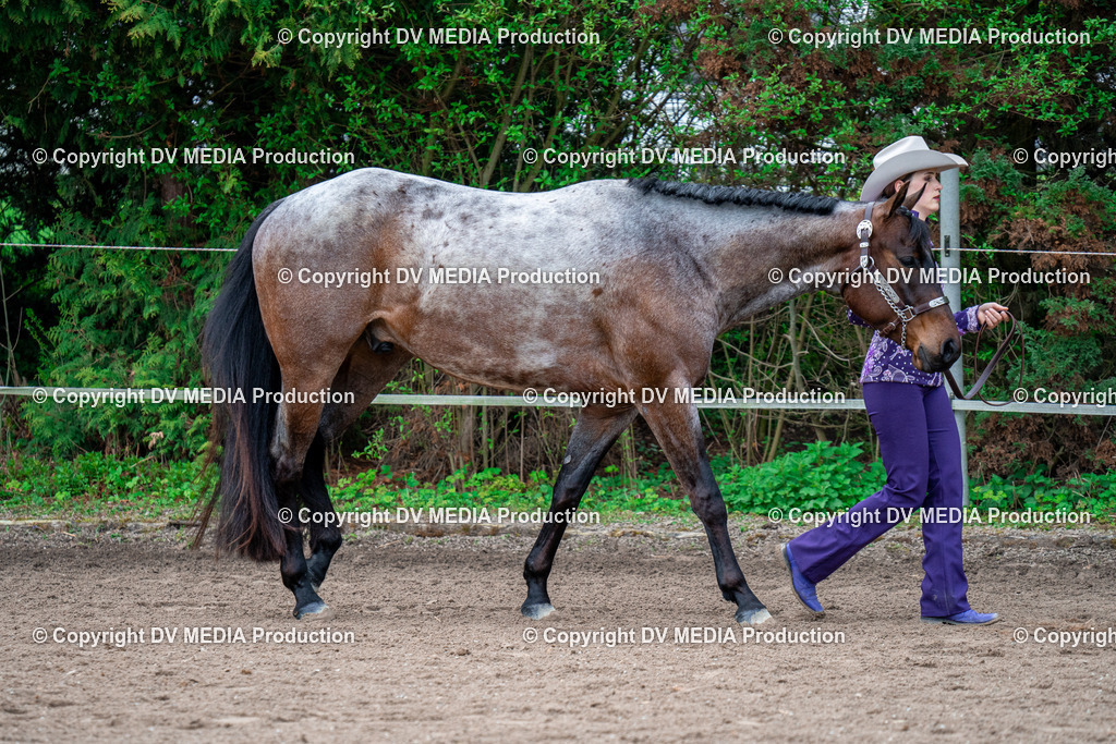 BA300196 | dv-media-shop - Realisiert mit Pictrs.com