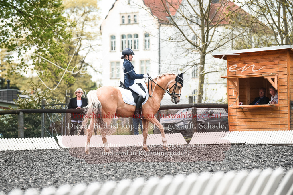 20230514_JK-Röhrsdorf-24-404 | Pferde- und Turnierfotografie in Westsachsen. Pferdeportraits, Auftragszeichnungen und intuitive Kunst.