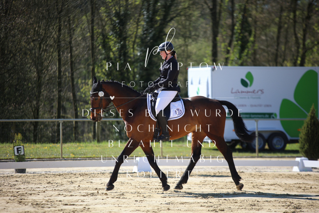 IMGT9428 | pl-fotografie