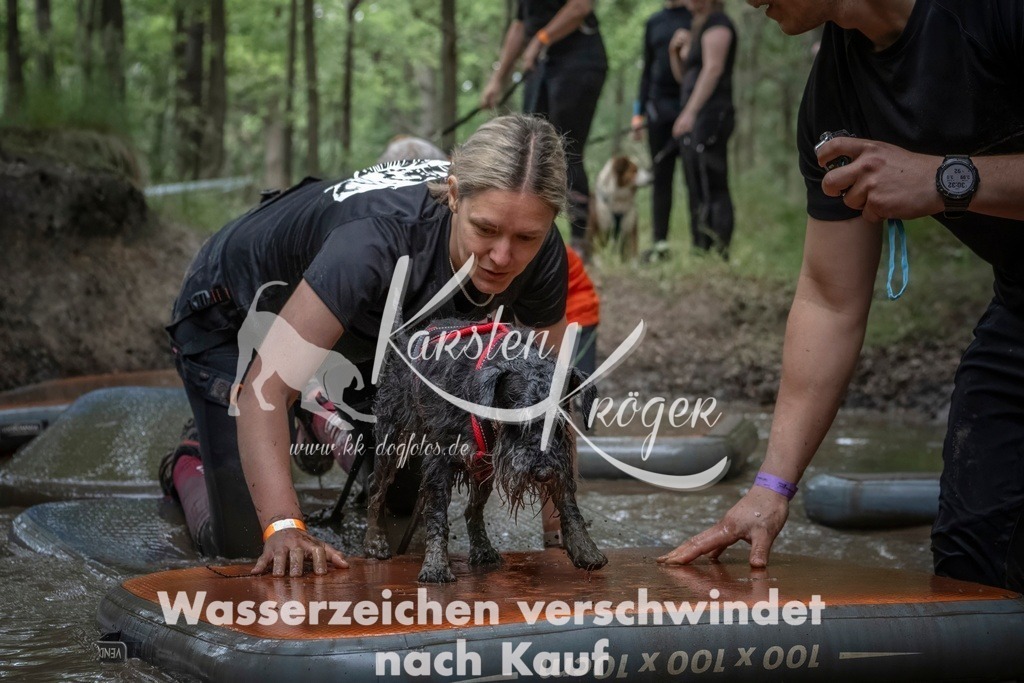 1202_ZZ96579T | kk-dogfotos