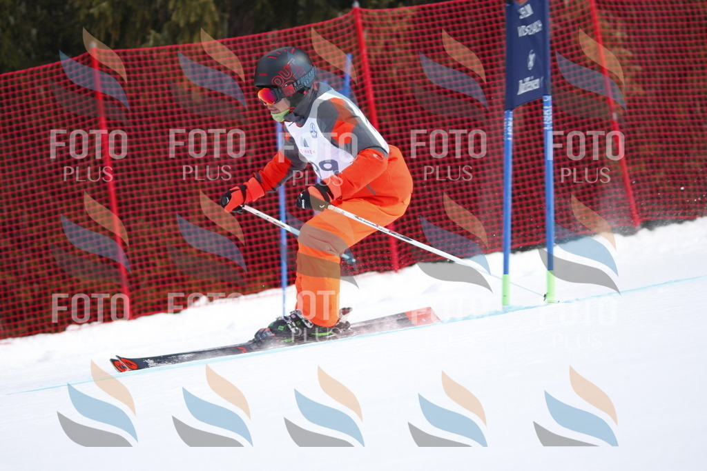 D8042 | holidayphoto