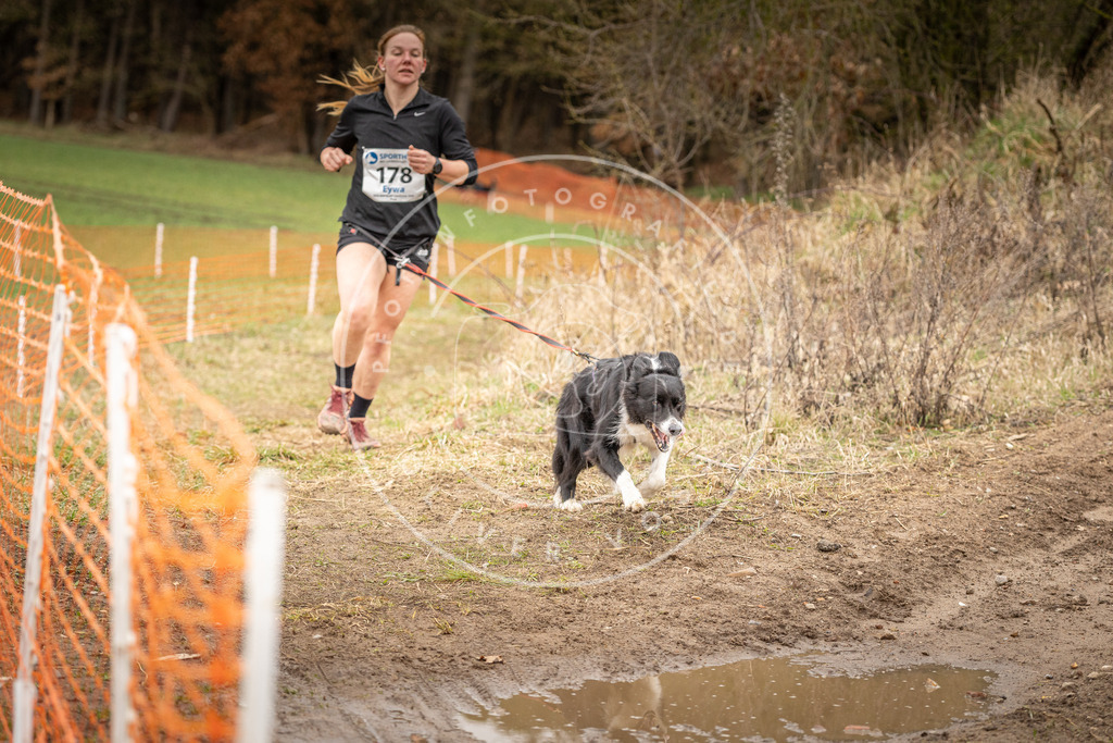 DV3A2471 | Hundefotografie, Tierfotograf, Pfotenfotografie, Fotoshooting Hund, Hunde Portrait, Hundesport, Hundeportraits, Heideshooting, Hunde, Sportfotograf, Hundefotograf, Turnierhundsport, THS,  - Realisiert mit Pictrs.com