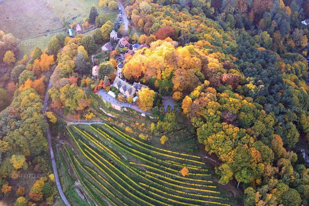 Luftbild: Schloss Kropsburg in Herbstfarben von Osten im Ortsteil SaintMartin in Sankt Martin im Bundesland Rheinland-Pfalz in Deutschland.Foto: IMG_095641.jpg vom 30.10.2016 durch Werner Riehm/FLY-FOTO.deHier entsteht eine neueÜber uns - burgschaenke-kropsburgs Webseite!