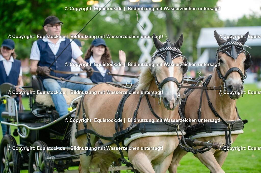 20250606_Lange-Pferdenacht_0074-2 | Foto: Thomas Hartig