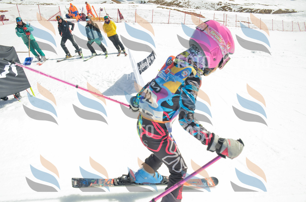 _ELE5581 | holidayphoto