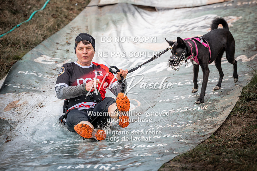 nelerasche_1400-1430_12 | nelerasche