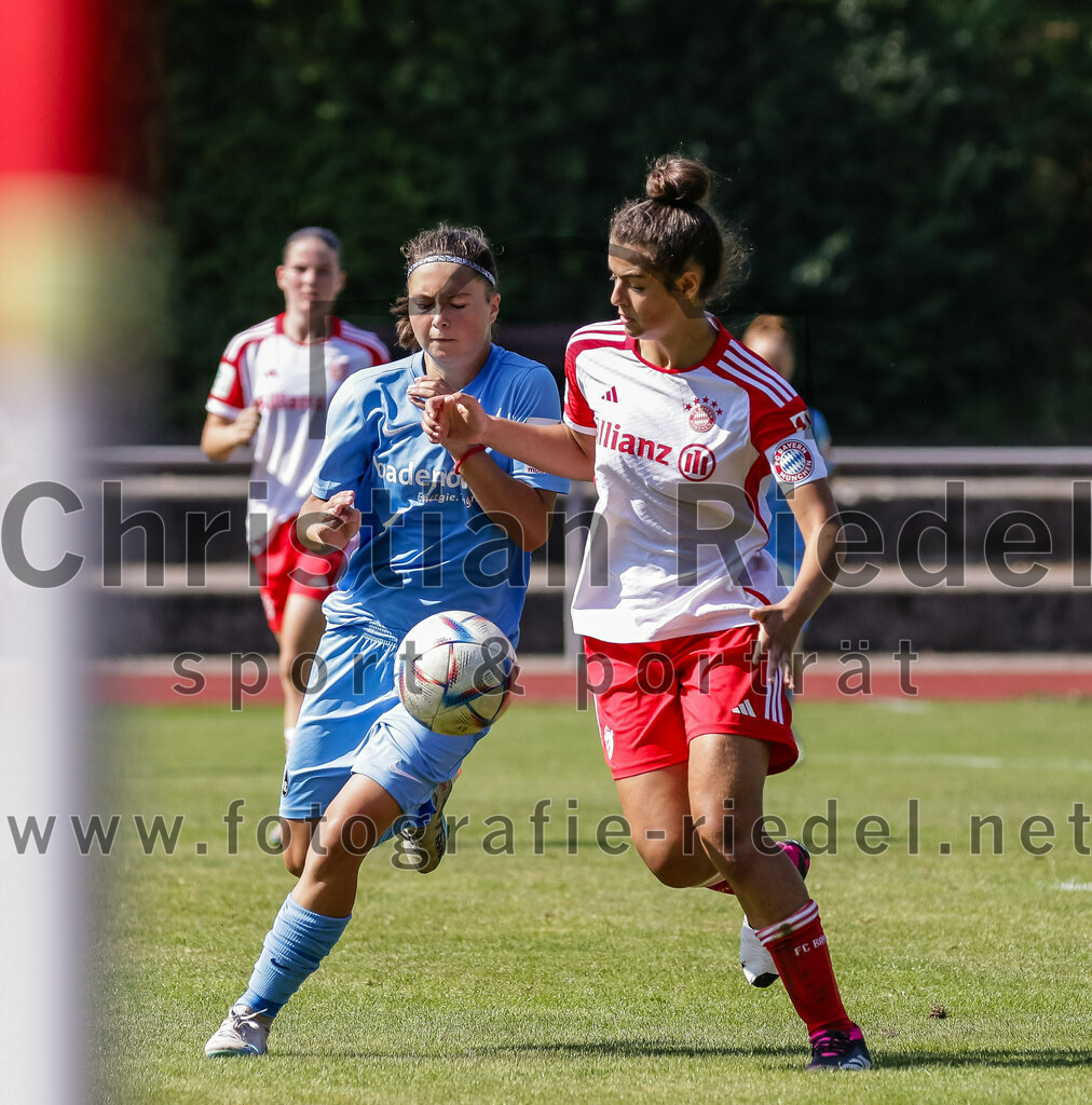 2023-09-09_017_FC_Bayern_Muenchen_gegen_SC_Freiburg | Aschheim, Deutschland, 09.09.2023:
Fußball, B-Juniorinnen-Bundesliga Süd 2023 / 2024, 1. Spieltag, FC Bayern München gegen SC Freiburg, Endergebnis: 4:0

Foto: Christian Riedel / fotografie-riedel.net