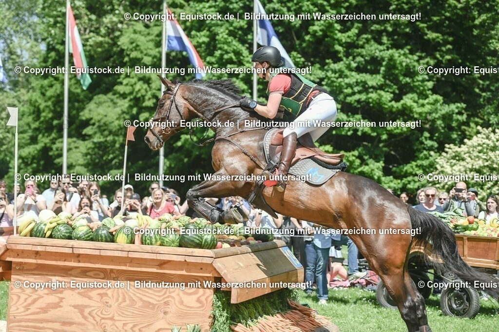 20230527_27_CCI4_Gelände_0001 | equistock