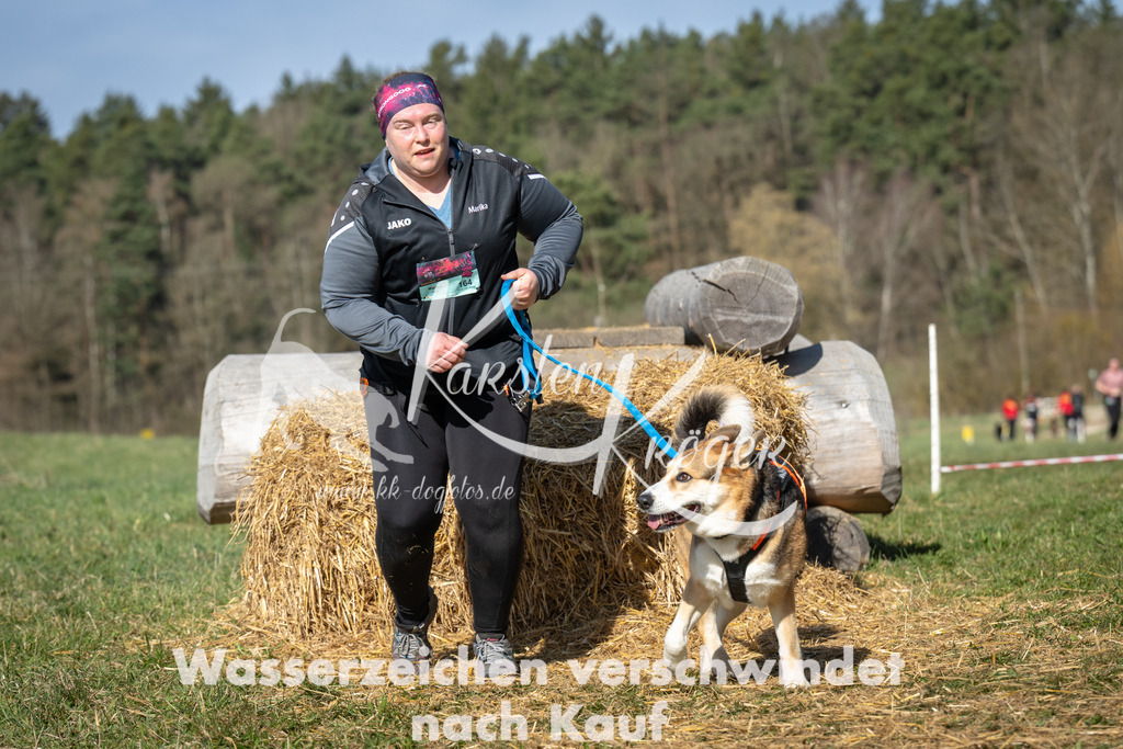 1011_ZZ99434 | kk-dogfotos