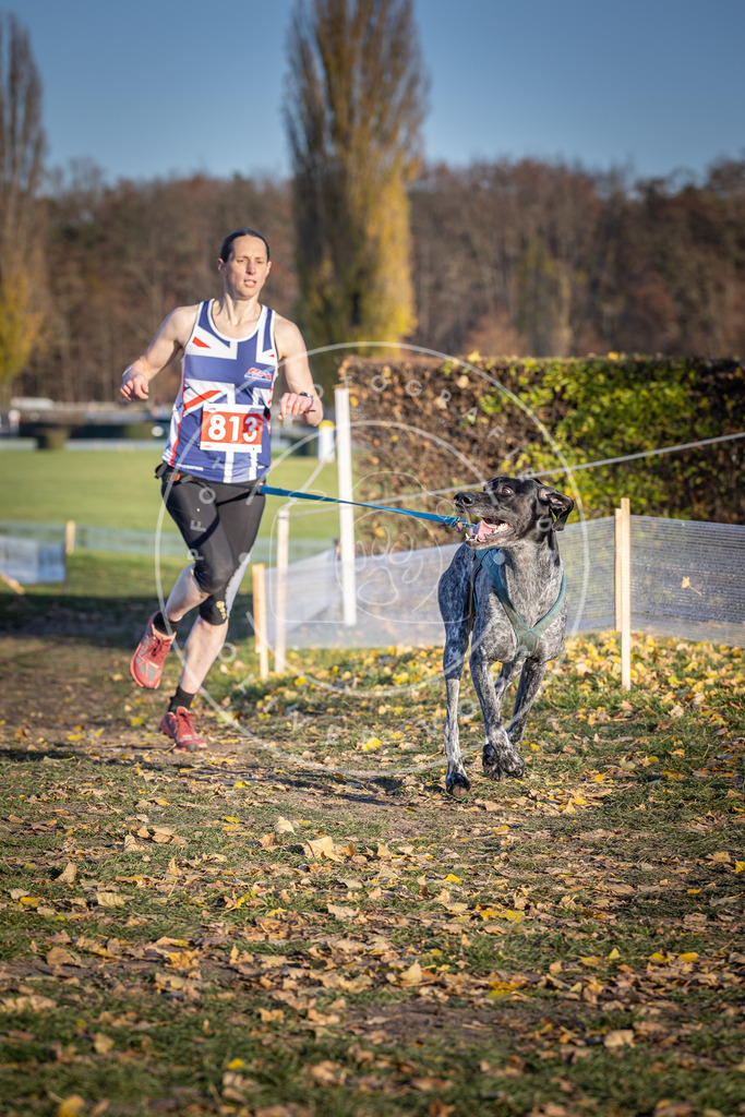 CaniXpix_DV3A3088 | Hundefotografie, Tierfotograf, Pfotenfotografie, Fotoshooting Hund, Hunde Portrait, Hundesport, Hundeportraits, Heideshooting, Hunde, Sportfotograf, Hundefotograf, Turnierhundsport, THS,  - Realisiert mit Pictrs.com