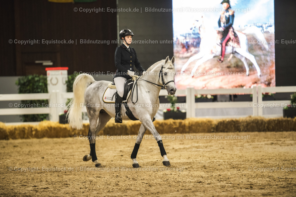 20240302_Hengstvorstellung_Marbach_TOMsPiC_1024 | equistock