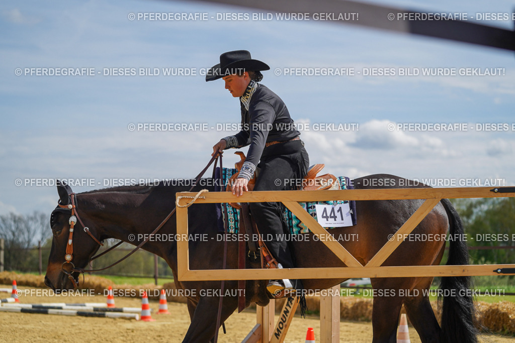 DSC05250 | Pferdegrafie