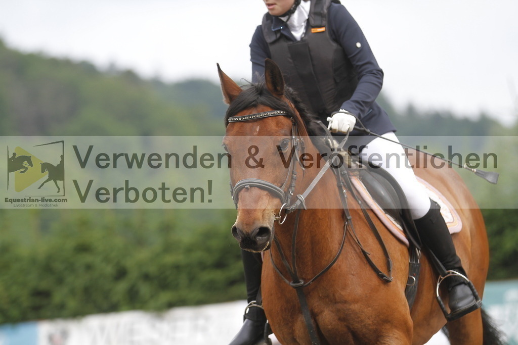 _MG_4395 | equestrian-live-com