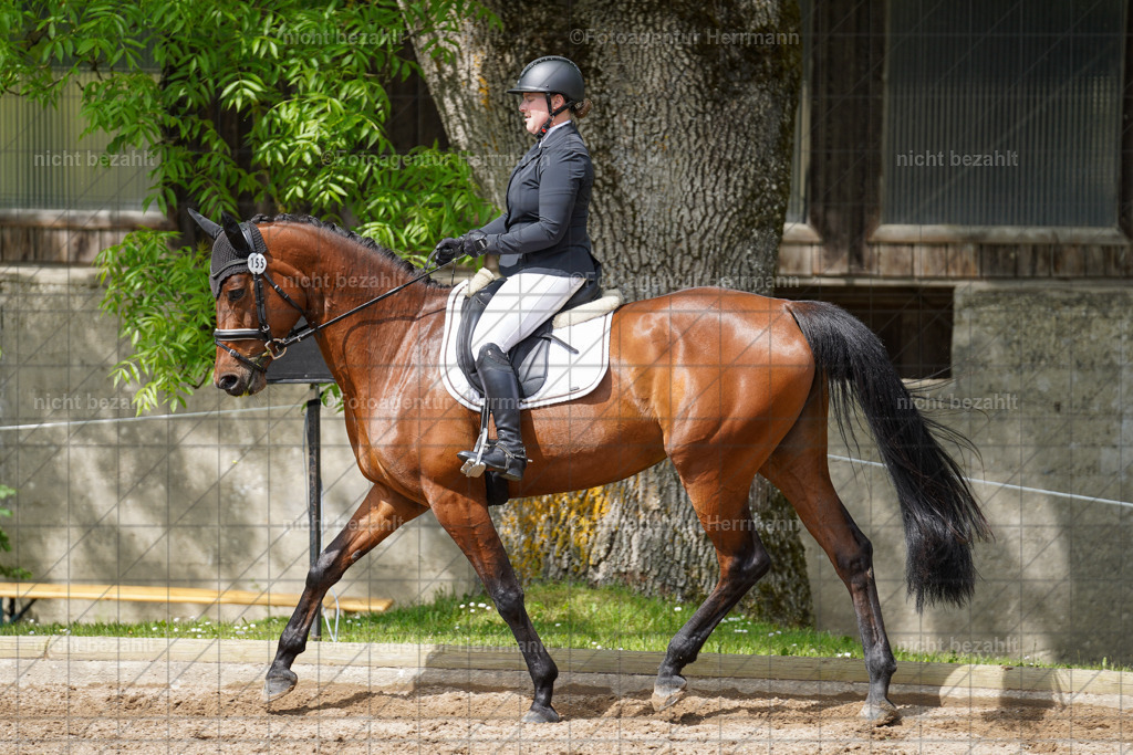 20240519-FAH04904 | Turnierbilder Niederseeon 2024, Vielseitigkeitsdressur, Reitsportbilder aus dem Landkreit Ebersberg, Gut Steinsee, RC Steinsee, Fotoagentur Herrmann