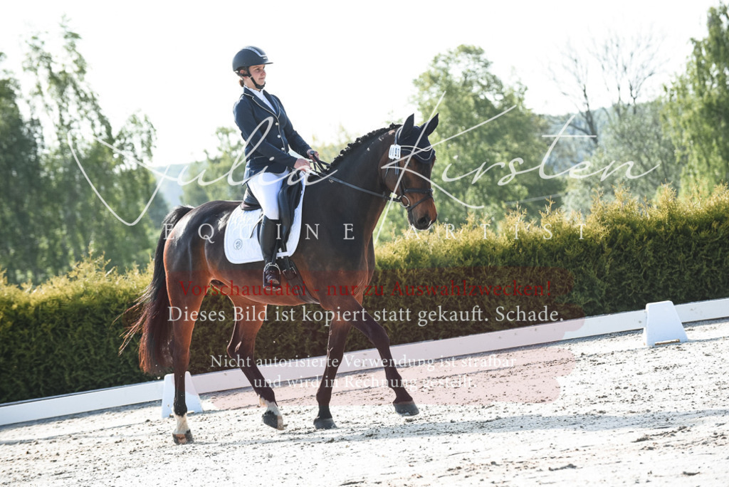 20230518_JK-Röhrsdorf-09-0754 | Pferde- und Turnierfotografie in Westsachsen. Pferdeportraits, Auftragszeichnungen und intuitive Kunst.