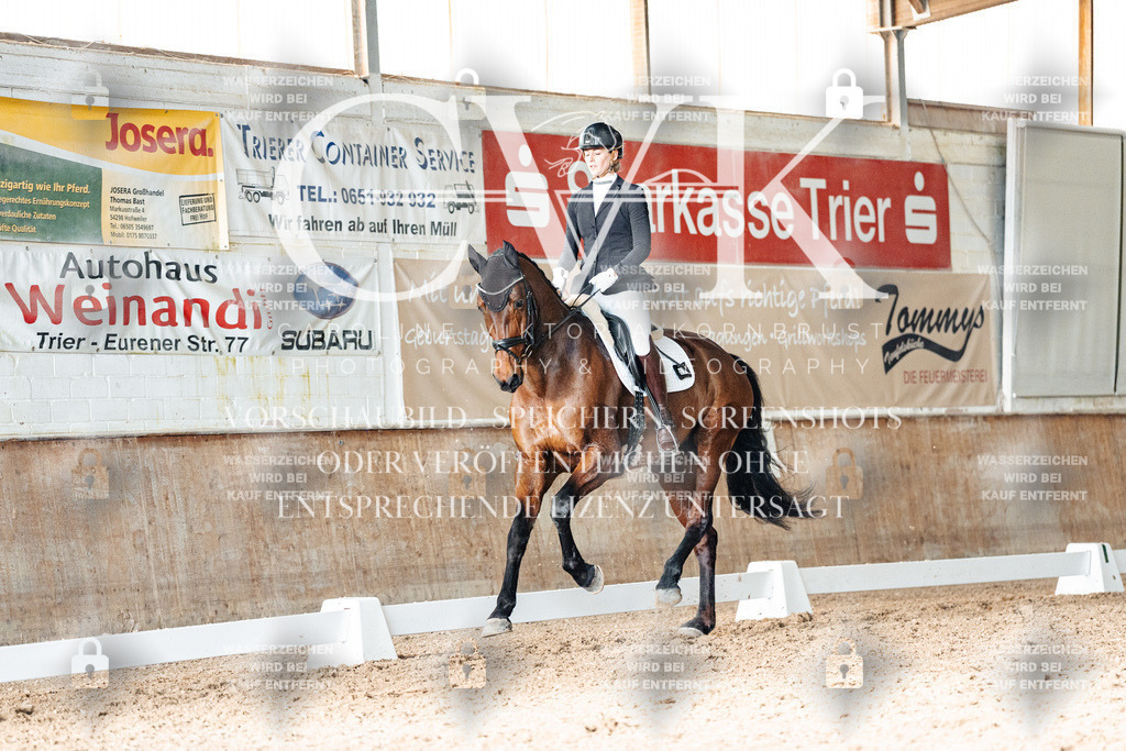 CK903110 | Turnierfotografie Pferdefotografie Trier Rheinland-Pfalz Pferdesport Reitsport Tierfotografie Sportfotografie Pferdevideo Pferdevideografie Equestrianvideography equestrianphotography  - Realisiert mit Pictrs.com