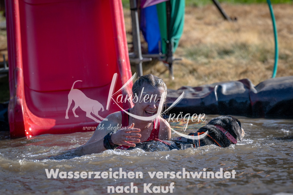 1701_ZZ92853 | kk-dogfotos