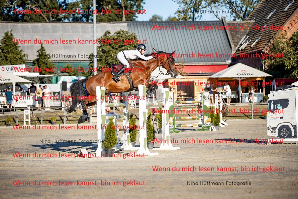 BK1A8450 | Turnierbilder Turnierfotos Nina Hüffmann Turnierfotografie Pferdefotografie Tierzeichnung Haustierzeichnung Pferdezeichnung Hundezeichnung Videograf  - Realisiert mit Pictrs.com