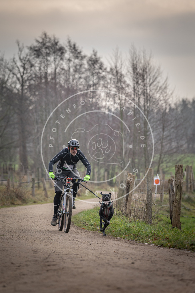 Pfotenfotografie_DV3A1500 | Hundefotografie, Tierfotograf, Pfotenfotografie, Fotoshooting Hund, Hunde Portrait, Hundesport, Hundeportraits, Heideshooting, Hunde, Sportfotograf, Hundefotograf, Turnierhundsport, THS,  - Realisiert mit Pictrs.com