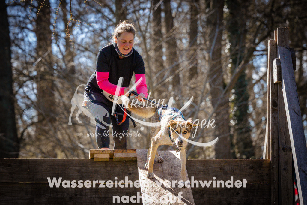 1001_ZZ96999 | kk-dogfotos