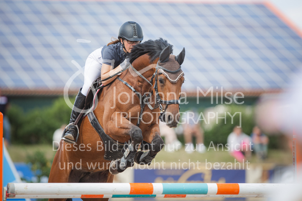 220612_LüPfSpTa_2Ph-M-Spr-600 | Lützower Pferdesporttage
Zwei-Phasen-Springprüfung Kl.M*
12.06.2022