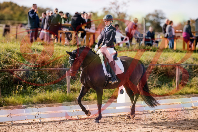 2026_10_03_Siefer-Hof_121335_Z81_13943535 | Professionelle Reitsport-, Turnier- und Eventfotografie von Robert Broda. Galerien mit ausgewählten und bearbeiteten Bildern direkt online ansehen und bestellen.