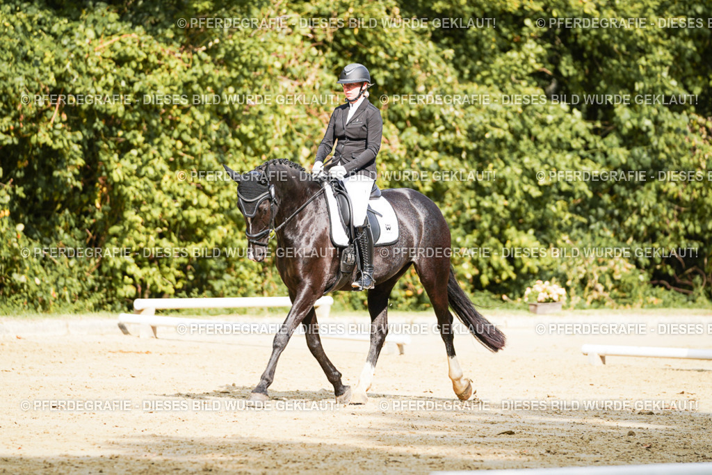 DSC02464 | Pferdegrafie