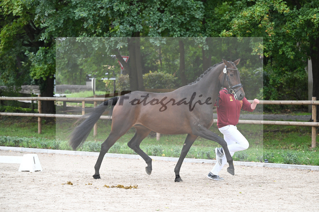 Kat-Nr. 14 Fine Farina_Reitnauer GbR_49221184 | hf-fotografie - Realizzato con Pictrs.com
