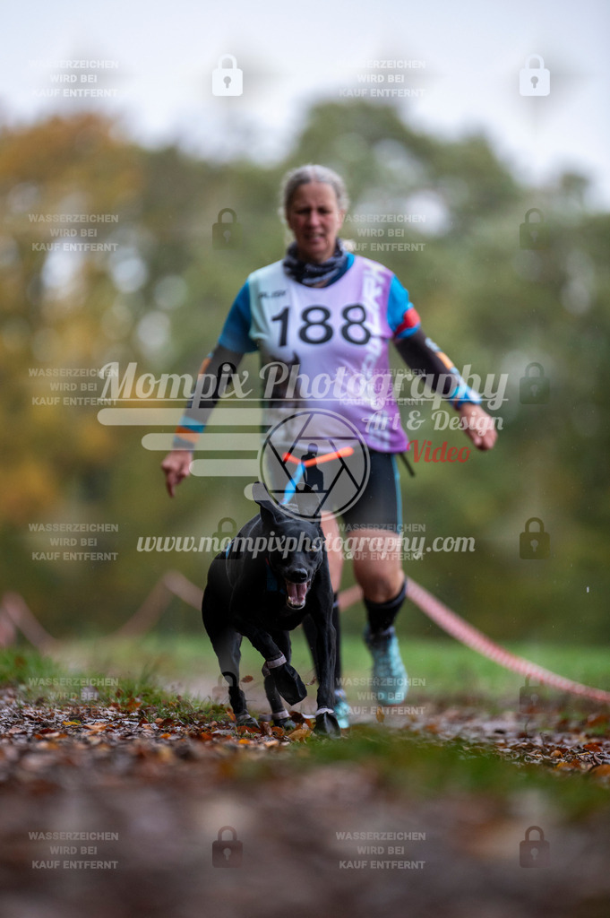 DBT_DAKM_SA_4_11_2023_Canicross-110 | PayLife