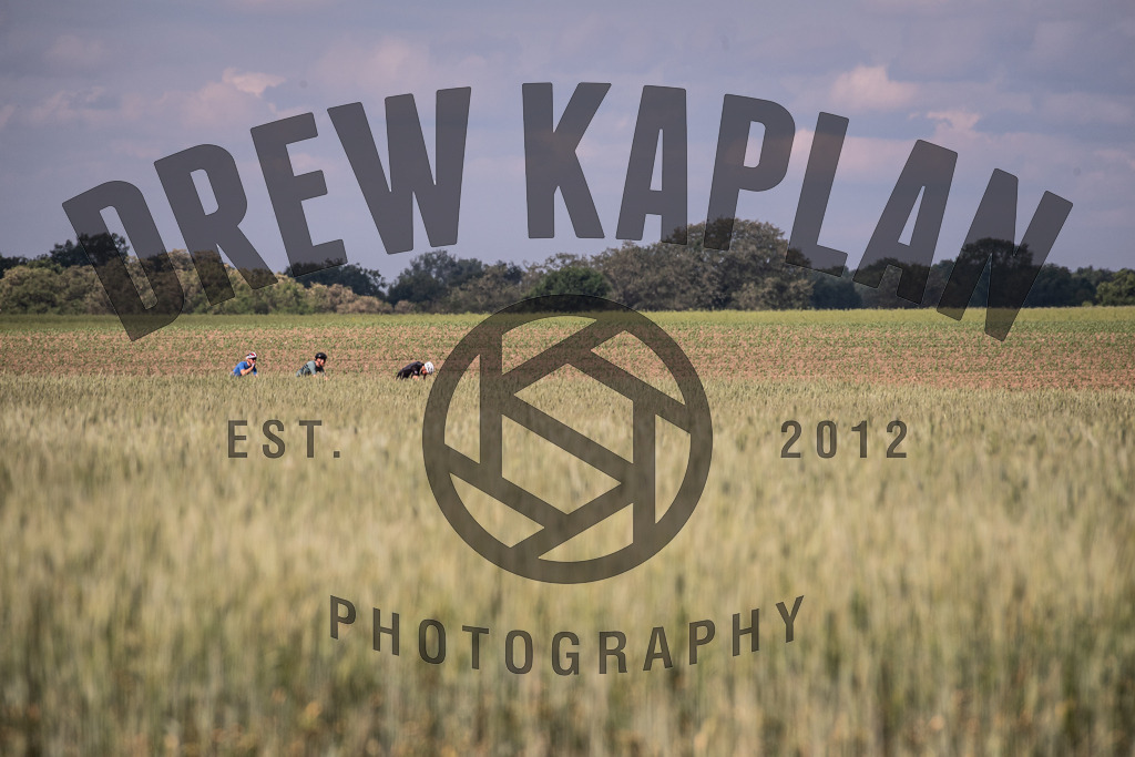 DKP-3408 | Drew Kaplan Photography