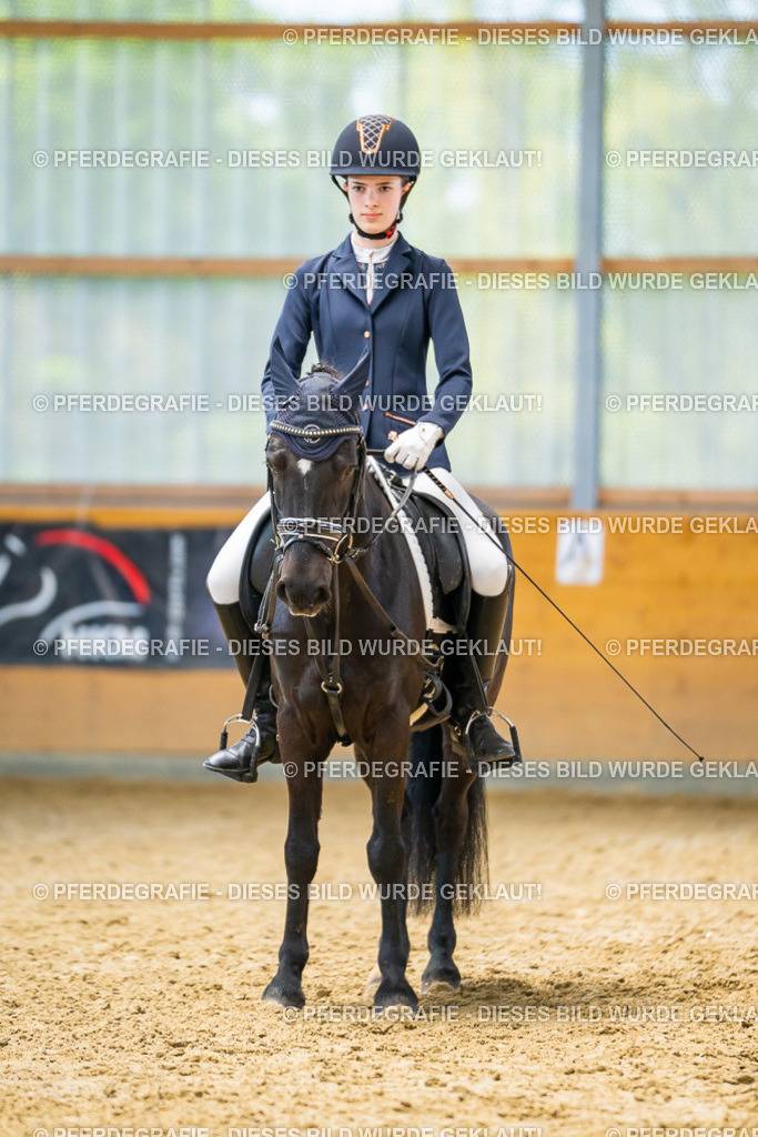 DSC08922 | Pferdegrafie