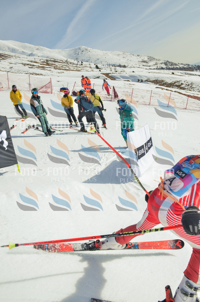 _ELE4278 | holidayphoto