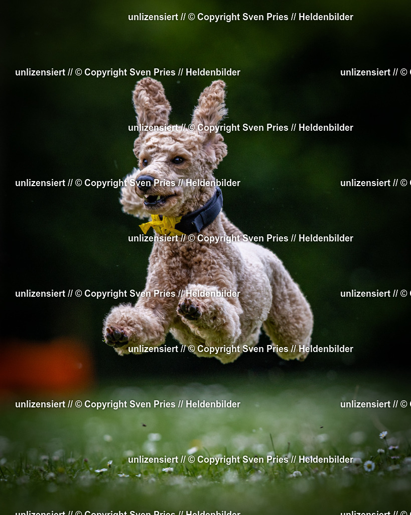 Sven Pries | 2025-05-29 - Pudelrennen KA-Durlach - Realisiert mit Pictrs.com