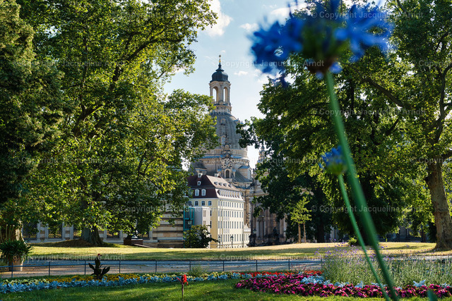 Brühlsche_Frauenkirche | Fotografie Photography Dresden Photoshooting  Fotoshooting Fotografin Dresdencity Bilder  Foto Dresdenvideos Kalender Postkarten Bilderdownload Portrait Hochzeitsfotografie Familienfotos Bewerbungsbilder Studiofotografie Fotograf Dresdenbilder Business - Realisiert mit Pictrs.com